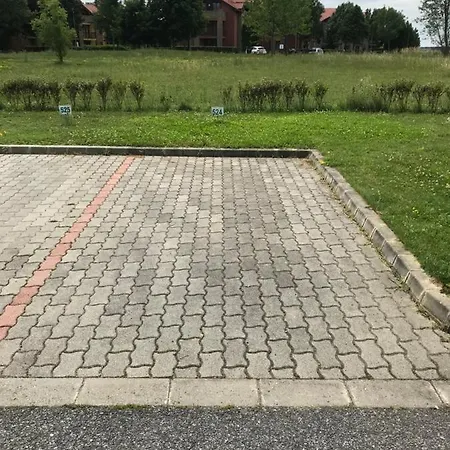 Lili Birdland Buekfuerdo * Bük