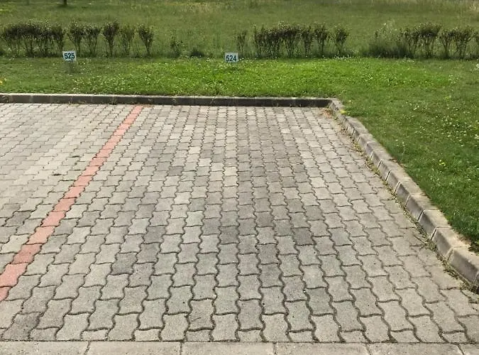 Lili Birdland Buekfuerdo * Bük